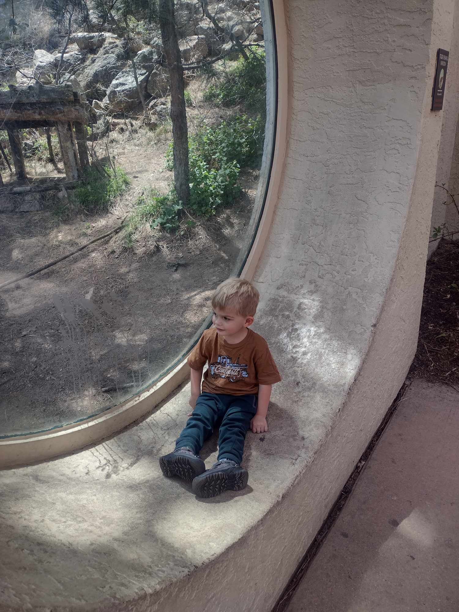toddler sits in a large cylindrical window, looking towards a rocky, zoo-like enclosure at a zoo or wildlife exhibit